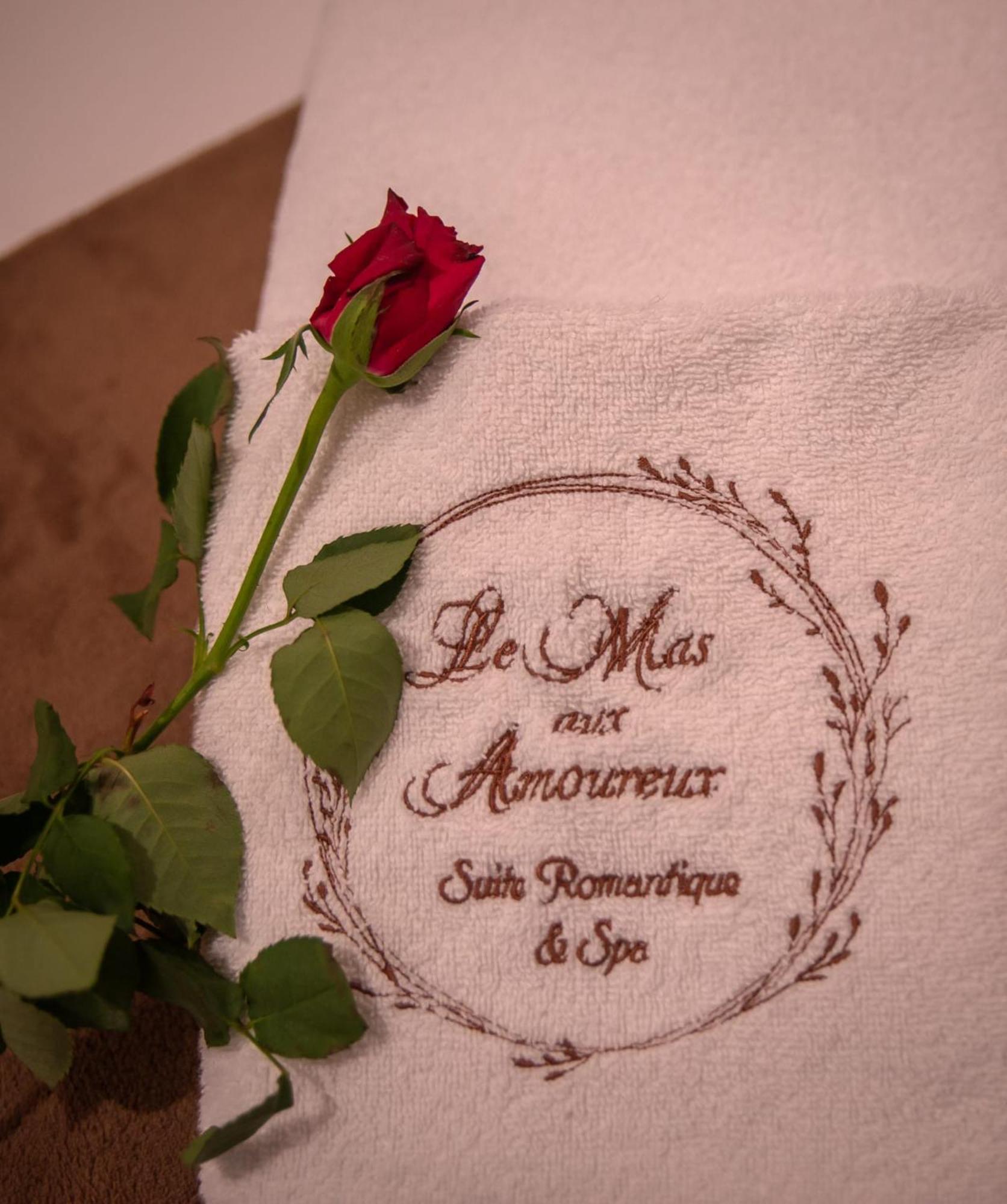 Le Mas Aux Amoureux , Suite Romantique Et Spa 乐巴凯尔斯 外观 照片